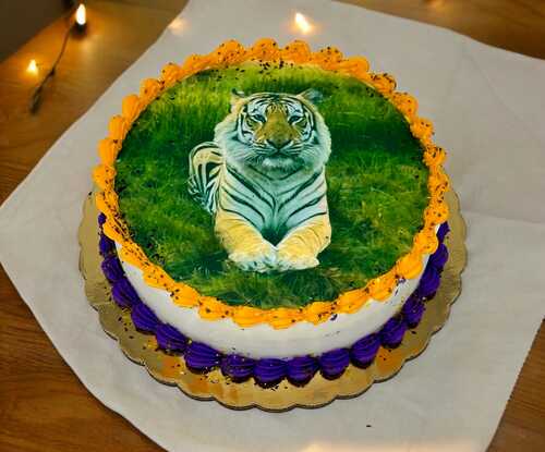 TIGER on the Prowl Cake! Edible Image® 