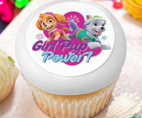 PAW Patrol™ Girl Pup Power PhotoCake® Edible Image® Cupcakes (12 Cupcakes) 